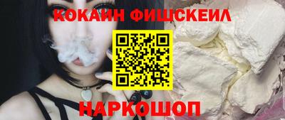 индика Кингисепп