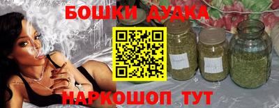 индика Кингисепп