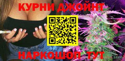 индика Кингисепп