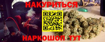 индика Кингисепп