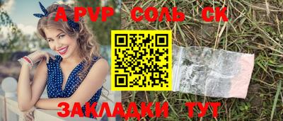 индика Кингисепп