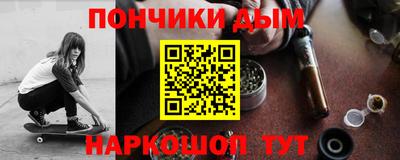 индика Кингисепп