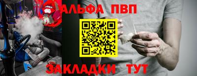 индика Кингисепп