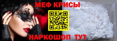 индика Кингисепп