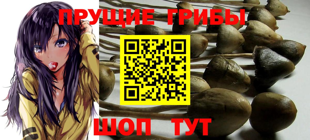 Краснокаменск  Галлюциногенные грибы Magic Shrooms  Вход с VPN 